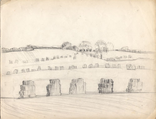 15__Harvest-Field_pencil