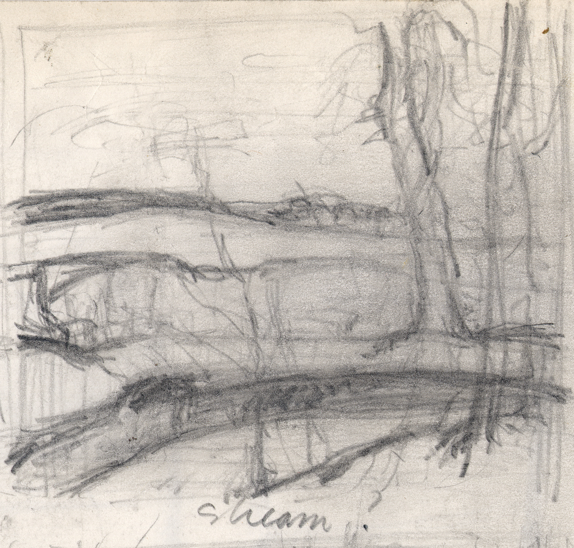 Stream-and-Tree-1