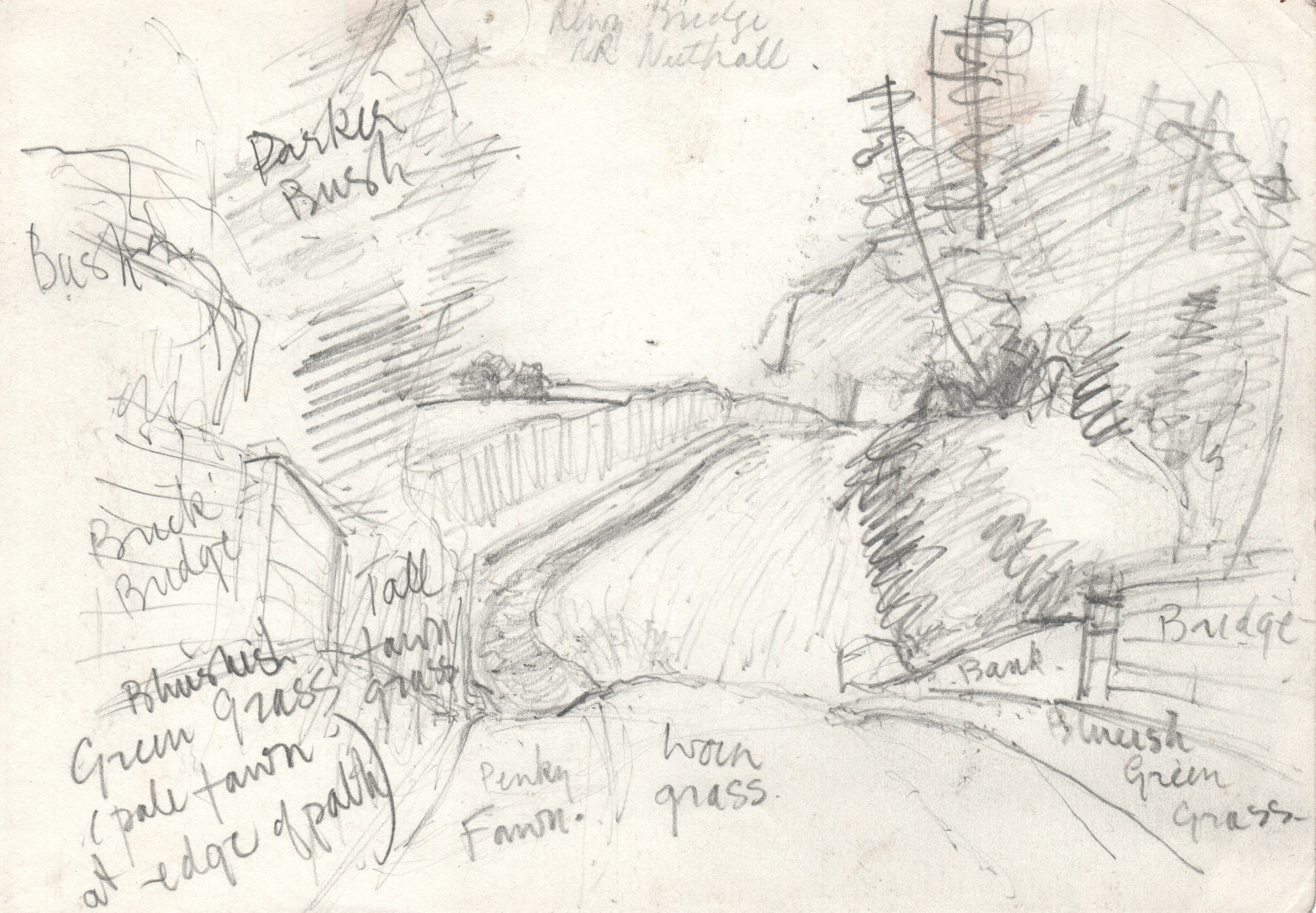 W_landscape_sketch_1-