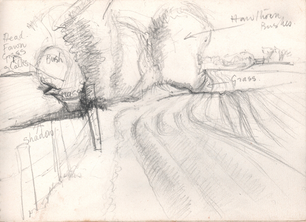 W_landscape_sketch_2-y