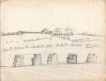 15__Harvest-Field_pencil