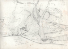 W_landscape_sketch_4-