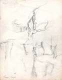 Wnear_hartington