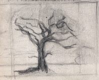 Hawthorn-2