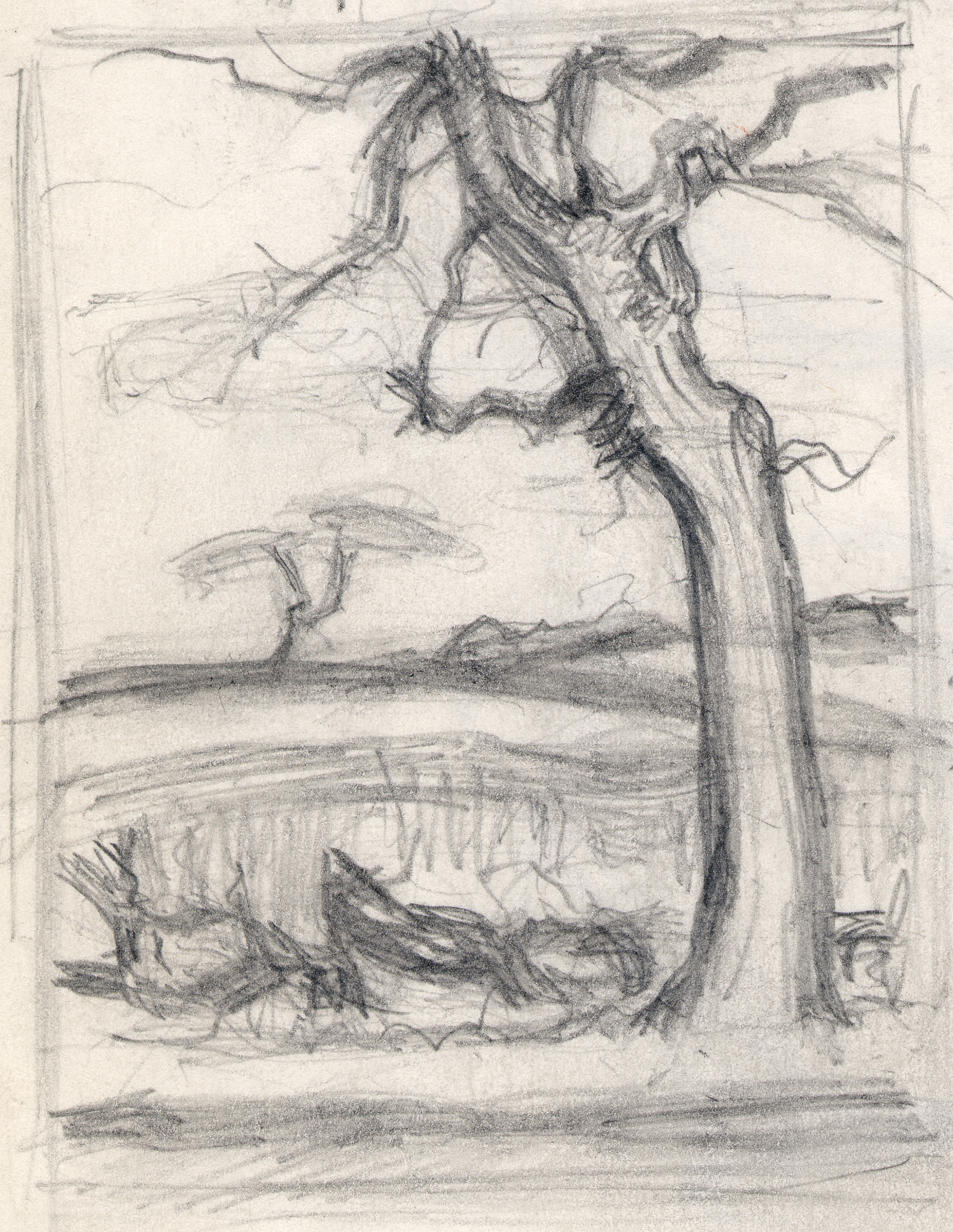 Tree-and-Landscape-2