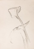 SKW-13