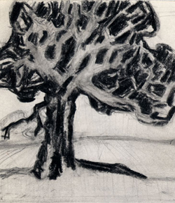 Four-Trees-one