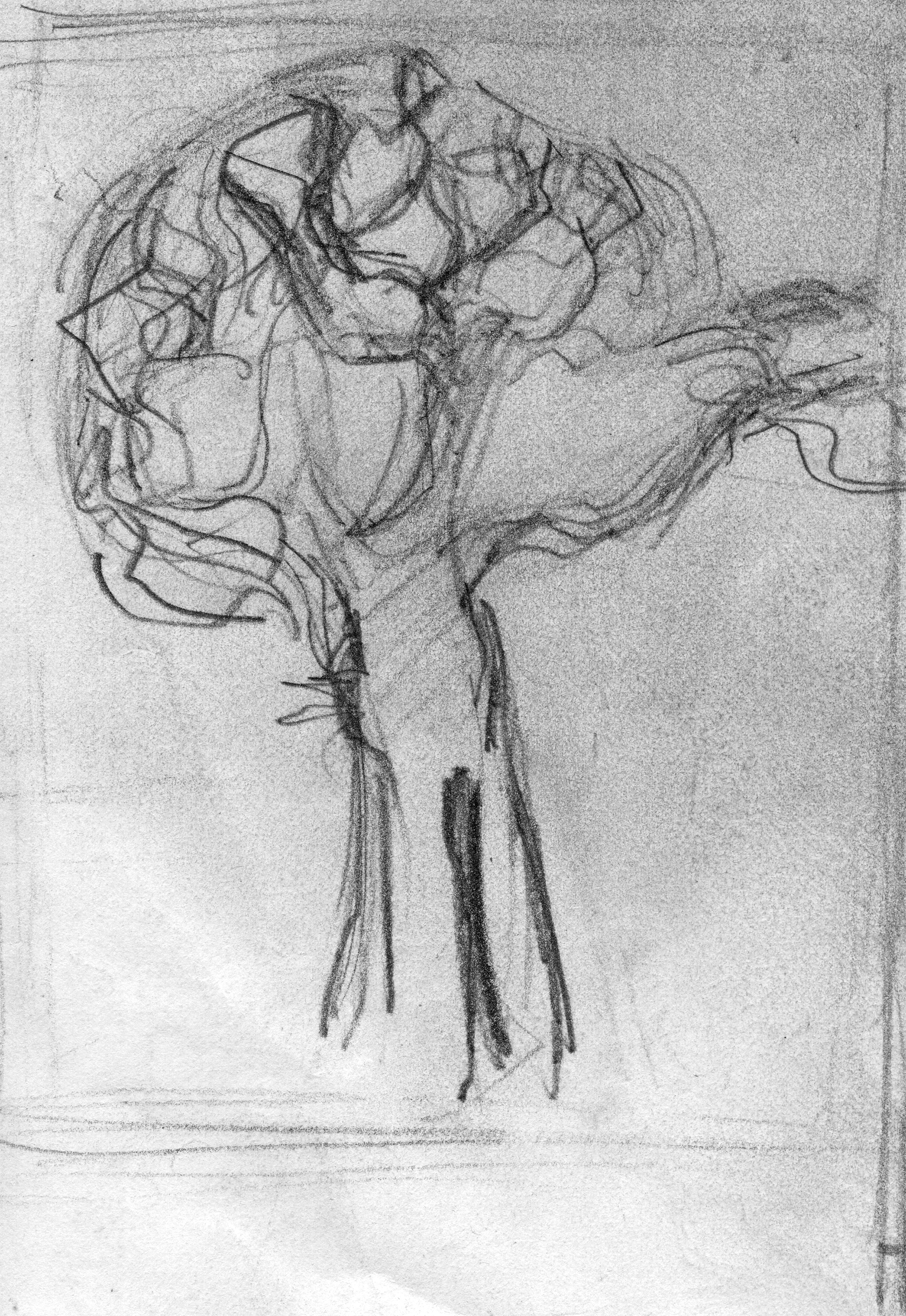 Tree-1