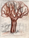 17_Four-Trees-two