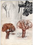 Four-Trees-1-e1482357948898