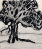 Four-Trees-one