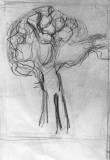 Tree-1