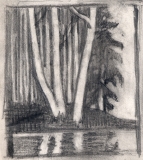 Trees-with-Reflections-2-1