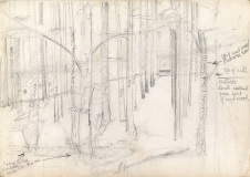 Sycamore-and-Pine-woods-rough-prelim-2
