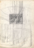 WOODS-ROUGH-PRELIM