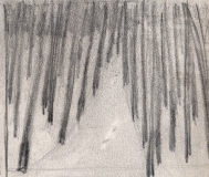 Woods-1