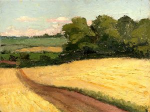 landscape-in-august