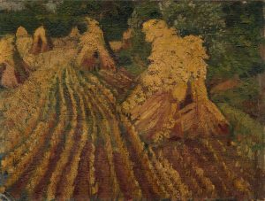 suffolk-harvest-field-compiled-and-flattened
